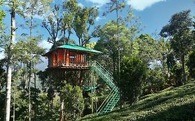 Dream Catcher Plantation Resort Munnar